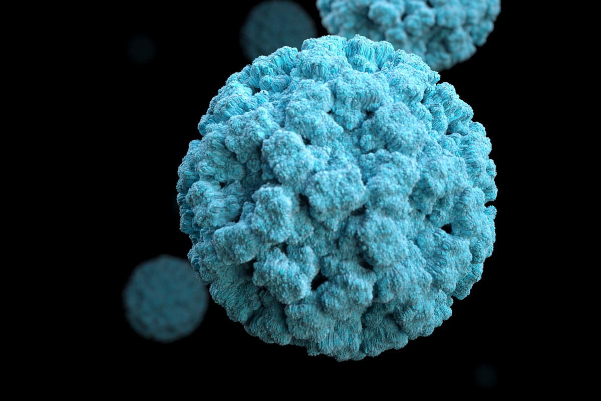 A close-up, 3D rendered image of a round, blue norovirus particle with a textured, knobby surface on a black background.